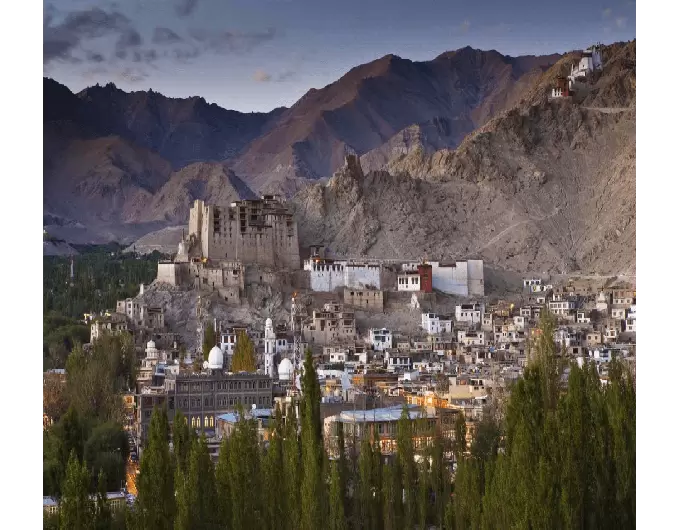 Arrival Leh via leh airport