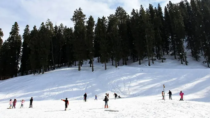 Narkanda Local Exploration