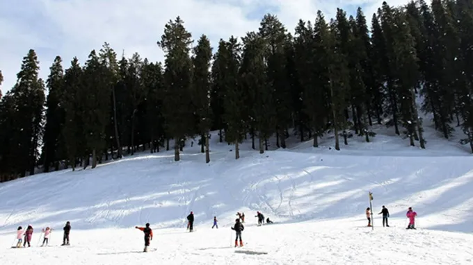 Chandigarh to Narkanda