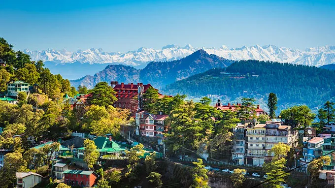 Kalpa to Shimla