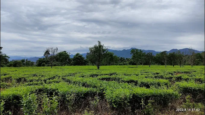 Dibrugarh airport to Wakro