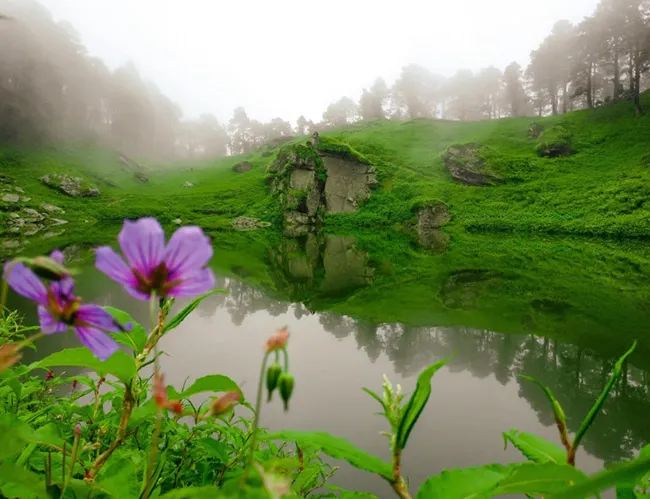 Tirthan Valley and Bir Himachal Pradesh Tour, Tirthan Valley and Bir Himachal Pradesh Tour