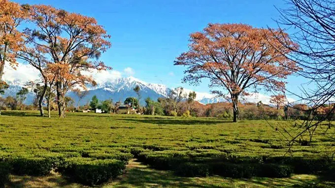 Departure from Bir (via Palampur)