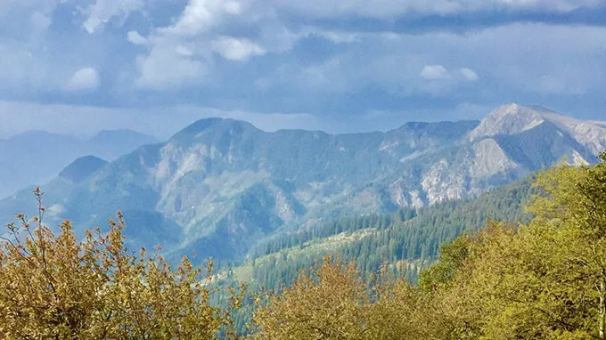 Tirthan/ Jibhi Local