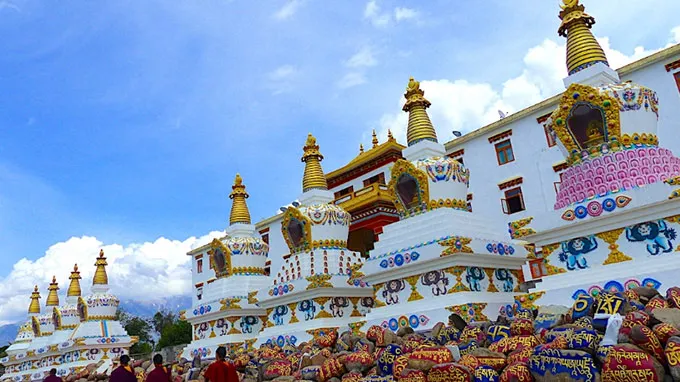 Shangarh to Bir (via Mandi)