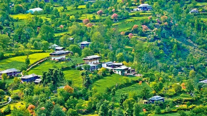 Tirthan/ Jibhi Local