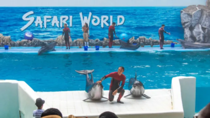 Safari World + Marine Park with Lunch