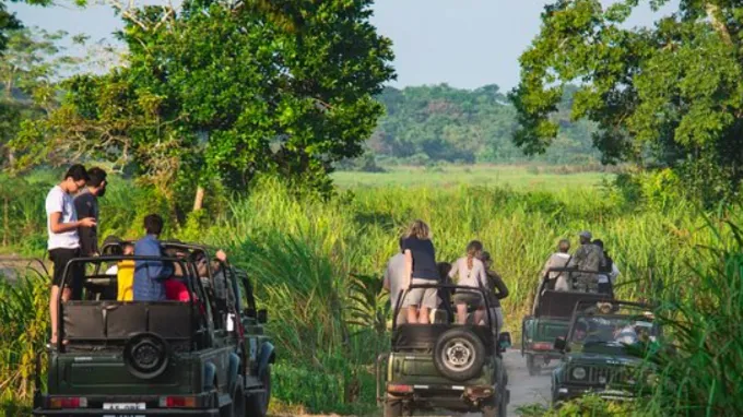 Kaziranga Jungle Safari