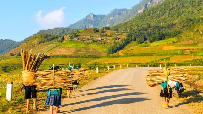 HANOI – SAPA BY BUS WITH A SHORT TREK TO CAT CAT VILLAGE - SAPA