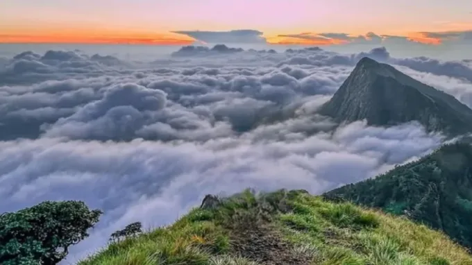 Mankulam to Munnar (Suryanelli Stay)