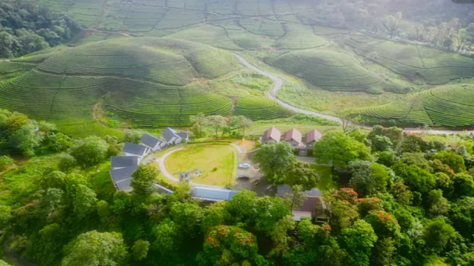 Kochi to Mankulam Forest Stay