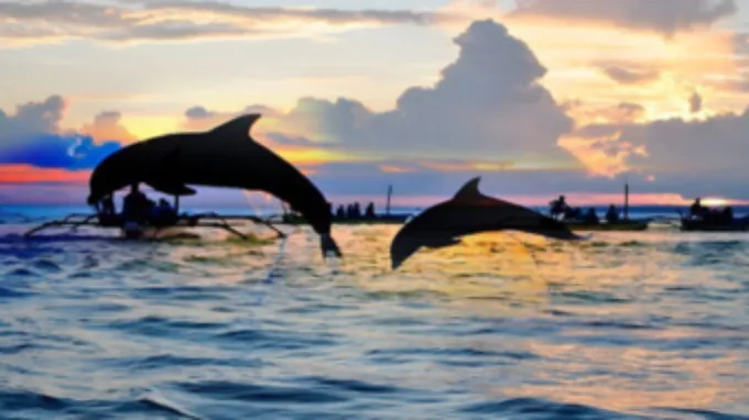 Dolphins, Waterfalls & Spa + Sunset Dinner Cruise