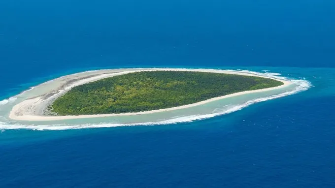 Thinnakara Or Dolphin Watch with Deep-Sea Fishing