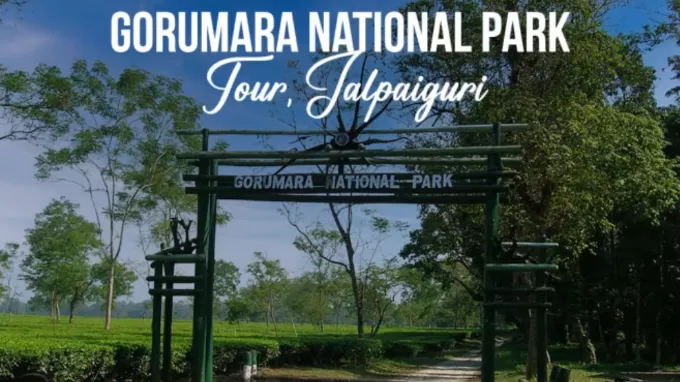 Jaigaon ➝ Lataguri (Gorumara National Park)