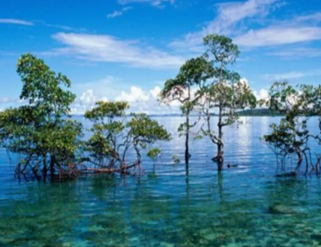 Andaman Havelock Island Tour Package, Andaman Havelock Island Tour Package