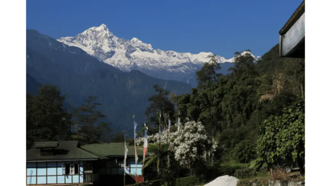 Explore Dzongu Local