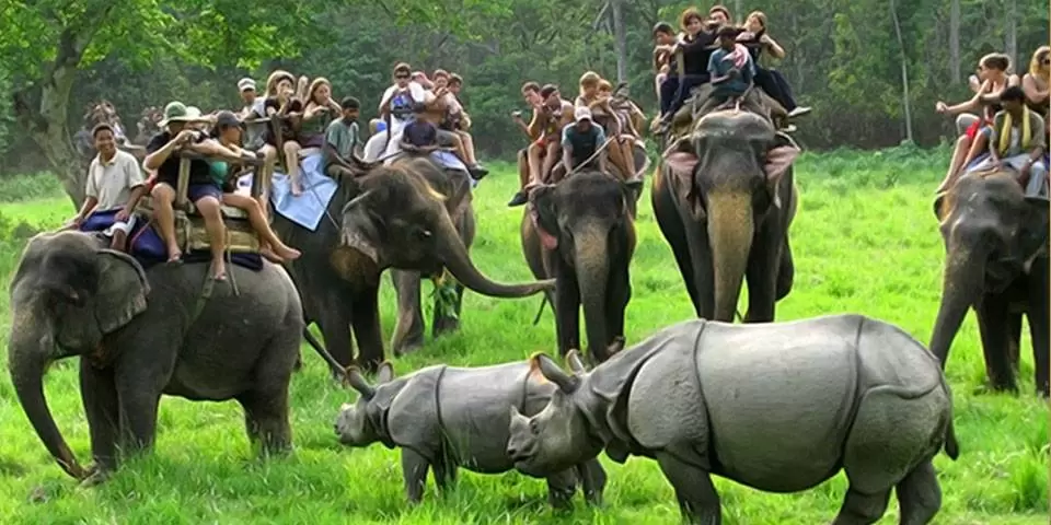 Guwahati - Kaziranga