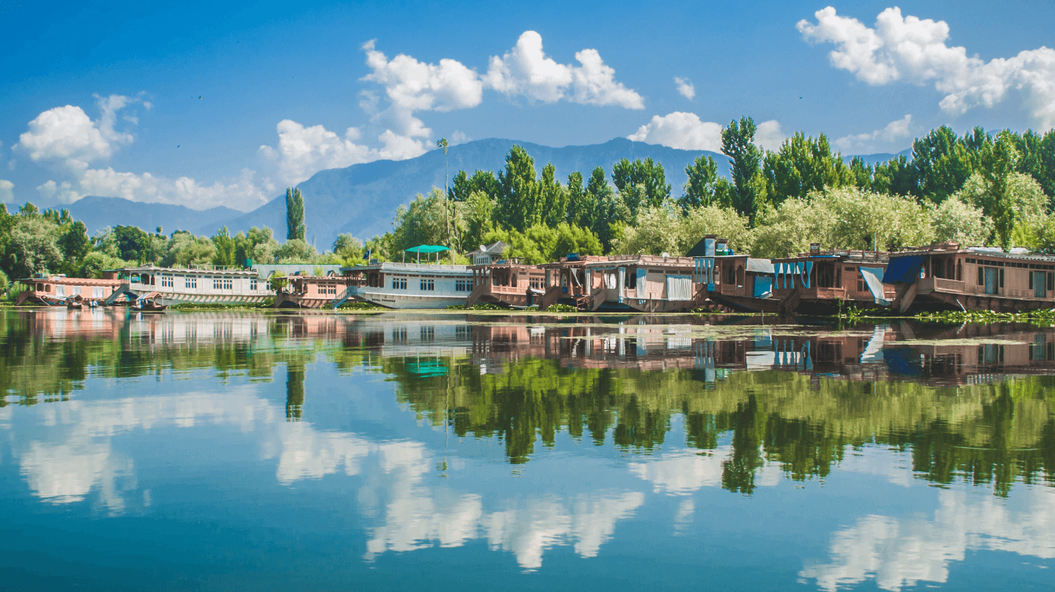 Kashmir Honeymoon Tour | OurGuest Tour