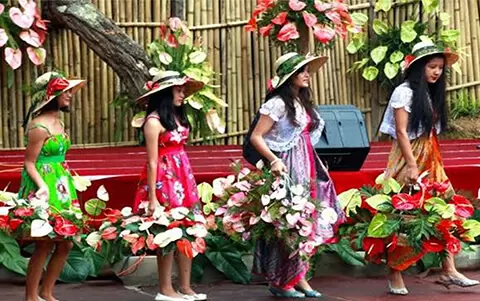 The Anthurium Festival, Mizoram, The Anthurium Festival, Mizoram